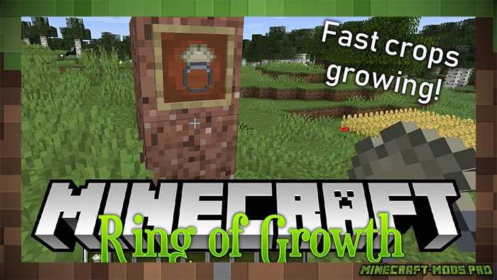 Мод Ring of Growth