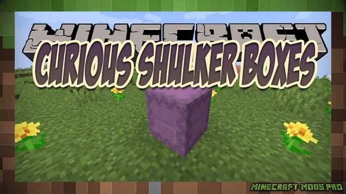 Мод Curious Shulker Boxe