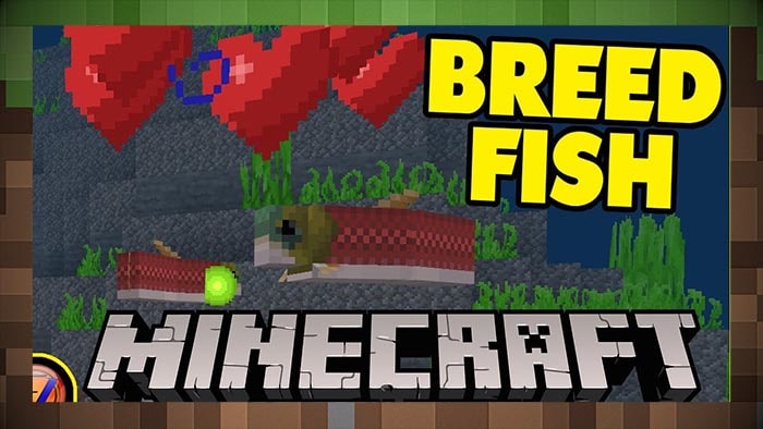 Как разводить тропических рыб в Minecraft для Майнкрафт